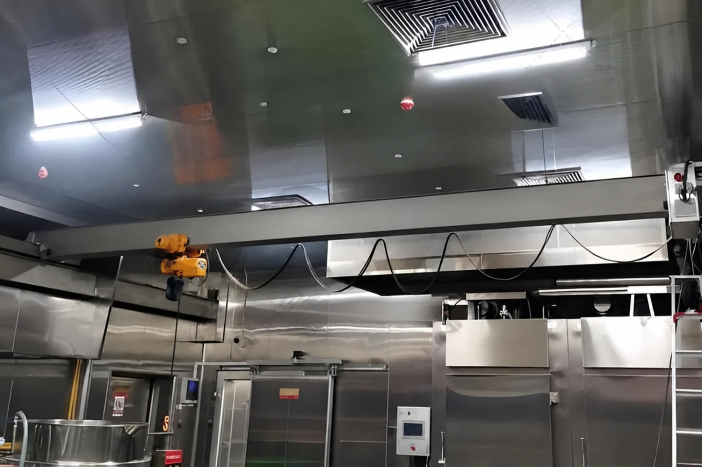 Cleanroom overhead crane above stainless process equipment and receiving access
